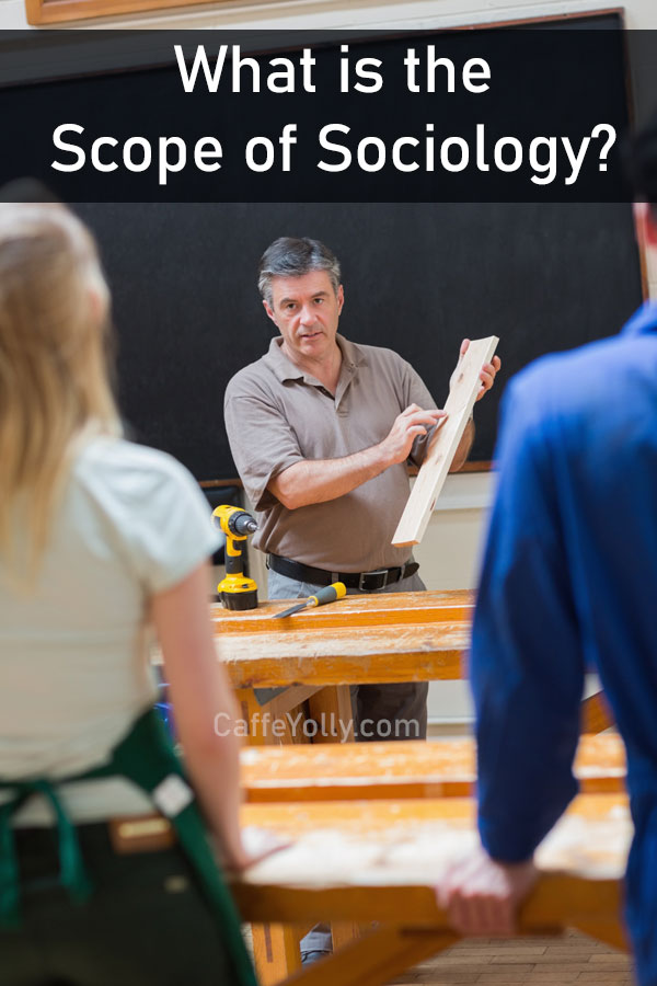 Scope of Sociology