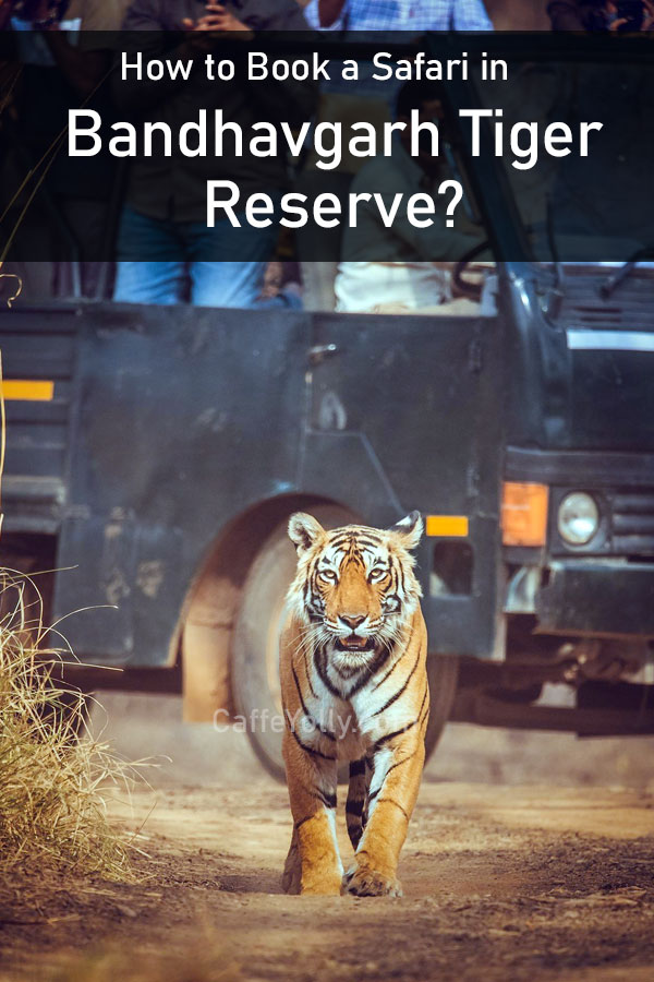 bandhavgarh tiger reserve