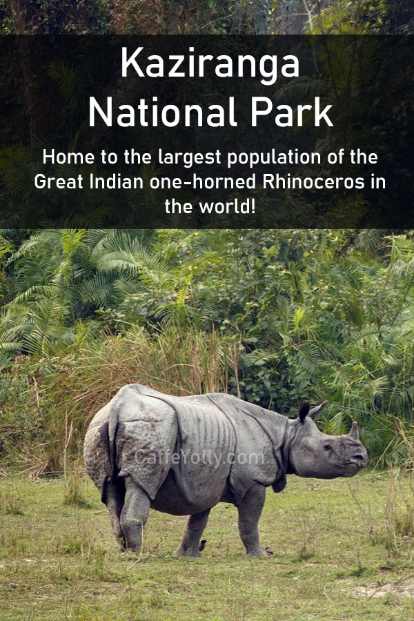 Kaziranga National Park