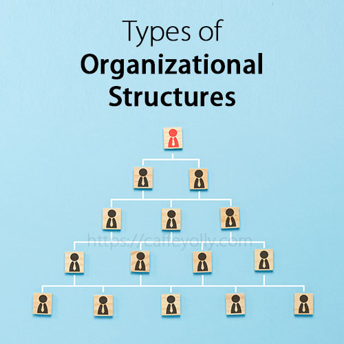 Types of Organizational Structures