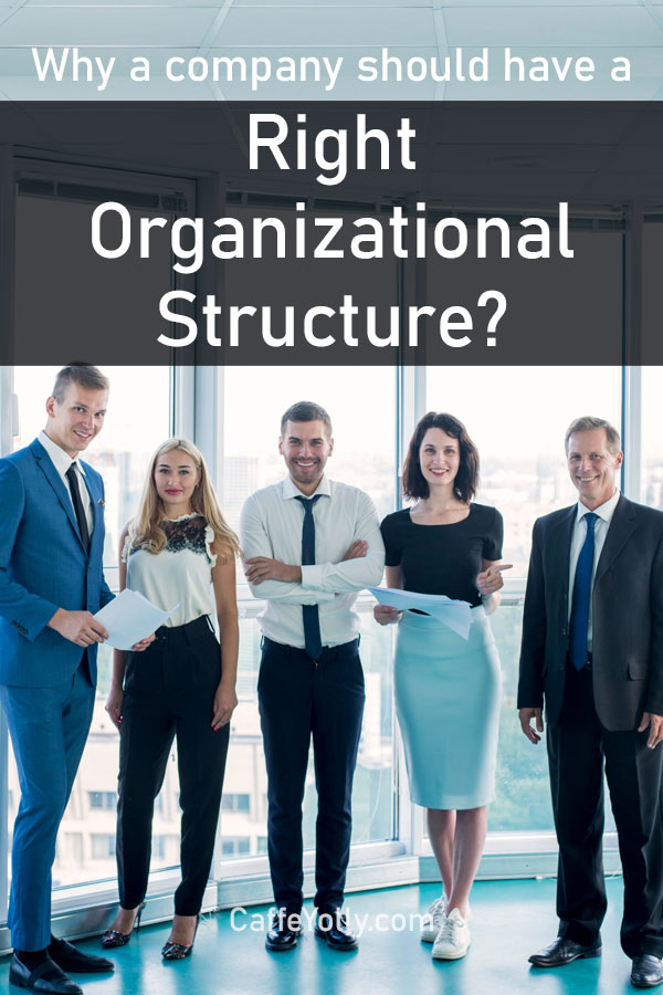 business organizational structure