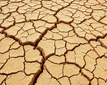 Aridity Meaning: Understanding the Concept, Causes, and Global Impact