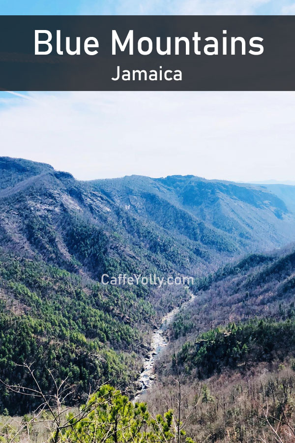 Blue Mountains Jamaica Tourism