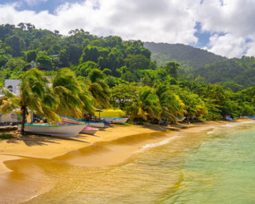 Country of Jamaica: History, Culture, and Beauty of the Caribbean Jewel Country of Jamaica: History, Culture, and Beauty of the Caribbean Jewel