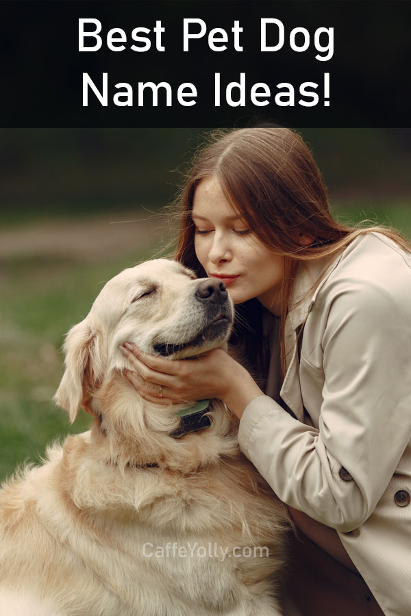 Pet Dog Name Pet Dog Name